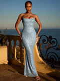 Luxurious Celebration Choice Sequin Fitted Dress