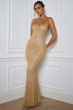 Luxurious Celebration Choice Sequin Fitted Dress